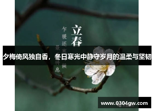 夕梅倚风独自香，冬日寒光中静守岁月的温柔与坚韧