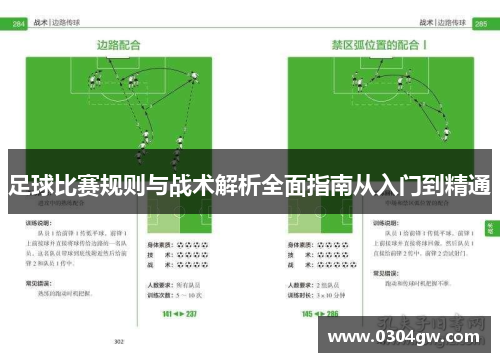 足球比赛规则与战术解析全面指南从入门到精通